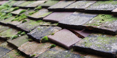 Dogsthorpe roof repair costs